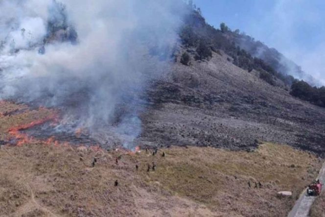 
 Berkas Tersangka Kebakaran Bromo Sudah Dilimpahkan Ke Kejaksaan Negeri Probolinggo