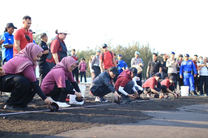 
 Ketua Umum Bhayangkari Melepas 700 Tukik Dan Tanam Mangrove Di Pantai Cemara Banyuwangi