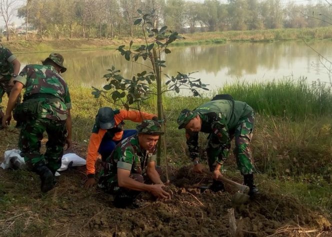 
 Penanaman Bibit Pohon, Mencegah Terjadinya Banjir