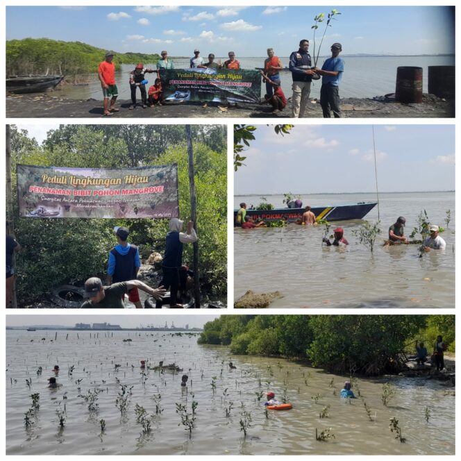 
 Puluhan Nelayan Kompak Tanam Ratusan Bibit Pohon Mangrove di Pesisir Pantai Kalianak