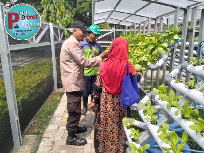 
 Dukung Ketahanam Pangan Bhabinkamtibmas Tanjung Perak Dampingi Warga Rawat Tanaman Hidroponik