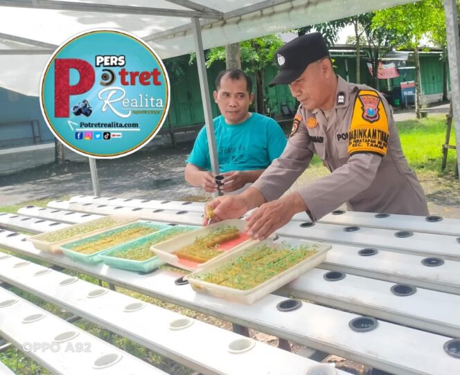 
 Gelorakan Swasembada Pangan, Polisi di Sidoarjo Ajak Warga Kembangkan Tanaman Hidroponik