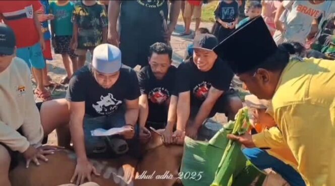 
 Semarak Idul Adha, Masjid Al Atinah Sembelih 2 Sapi dan 5 Kambing untuk Qurban