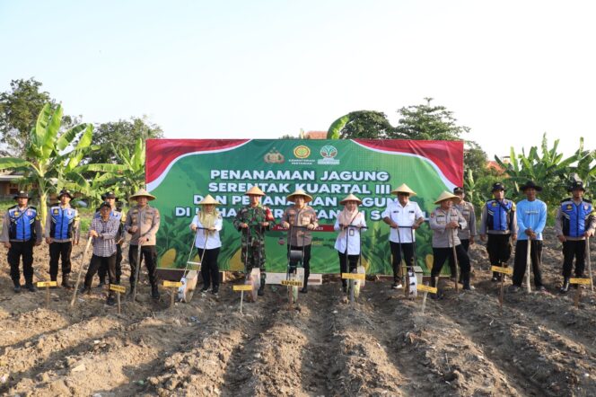 
 Sinergi Wujudkan Ketahanan Pangan, Kapolres Pelabuhan Tanjung Perak Pimpin Penanaman Benih Jagung di Kenjeran