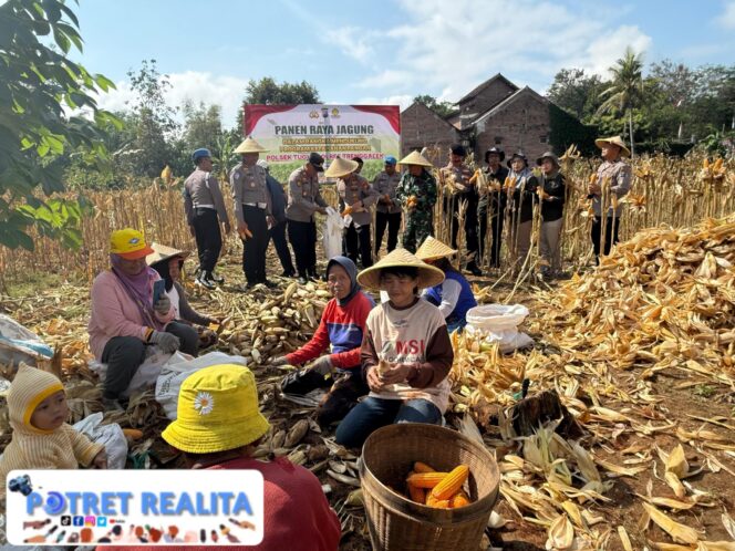 
 Menuju Swasembada Pangan, Kapolres Trenggalek Bersama Warga Panen Raya Jagung