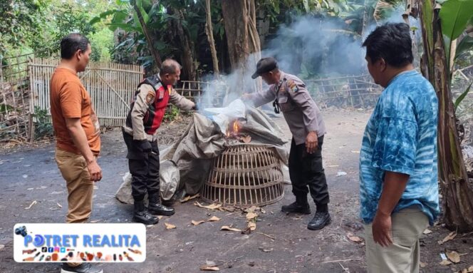 
 Tindaklanjuti Laporan Warga Polisi Bongkar Arena Sabung Ayam di Sidoarjo