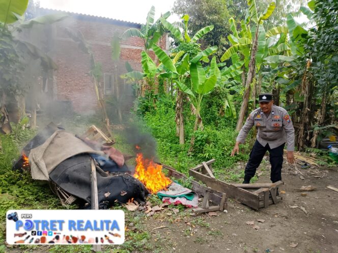 
 Respon Cepat Pengaduan Masyarakat Polisi Bongkar Arena Sabung Ayam di Sidoarjo