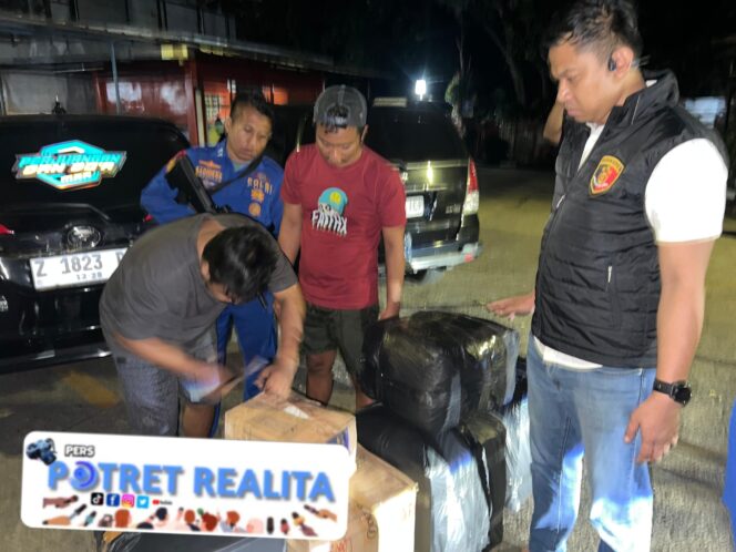 
 Polisi Airud Gagalkan Pengiriman 50 Ribu Benih Lobster Ilegal di Cianjur, Negara Berpotensi Rugi Rp7,5 Miliar