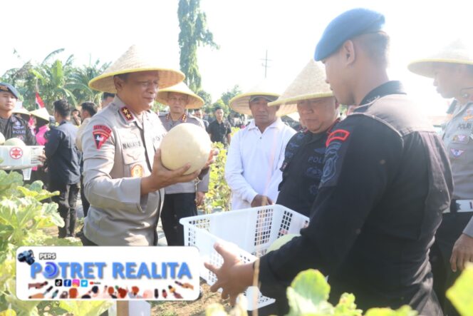 
 Brimob Polda Jatim Panen Melon dan Semangka, Dukung Program Ketahanan Pangan Nasional