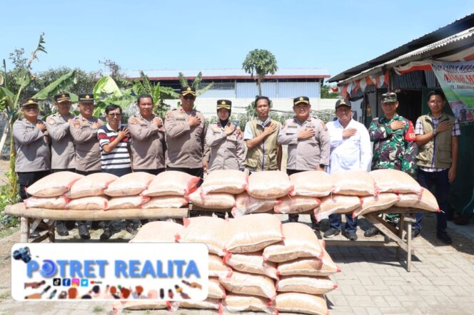 
 Dukung Ketahanan Pangan, Polres Pelabuhan Tanjung Distribusikan 1 Ton Jagung Hasil Panen Raya Kwartal III ke Bulog