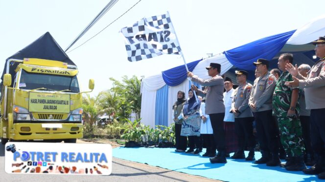 
 Kapolda Jatim dan Forkopimda Panen Raya Jagung Kuartal III Banyuwangi Surplus Pangan 4 kali Lipat