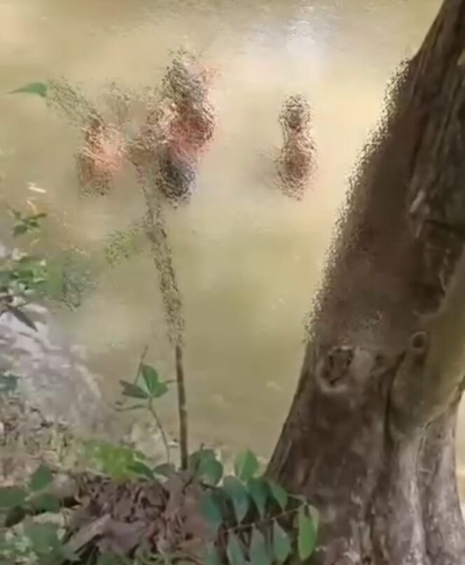 
 Asik Mandi Disungai Bocah 13 Tahun Tenggelam Hingga Tewas