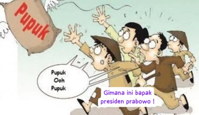 
 Kelangkaan Pupuk di Desa Meteng, Petani Minta Pemerintah dan Pihak Terkait Bertindak Cepat