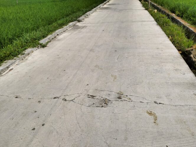 
 Dipertanyakan Proyek Rp400 Juta di Sampang Disorot, Jalan Jeruk Porot–Tanah Merah Rusak Meski Baru Dibangun