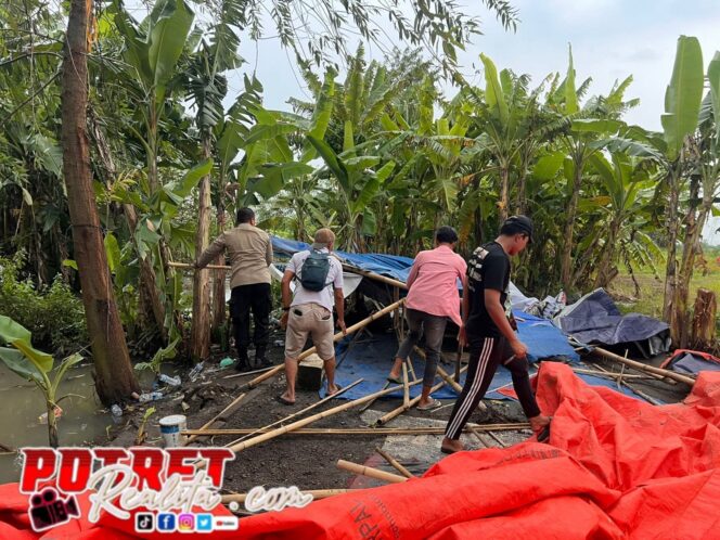 
 Respon Cepat Call Center 110, Polisi Bubarkan Arena Sabung Ayam di Lahan Persawahan Krembung