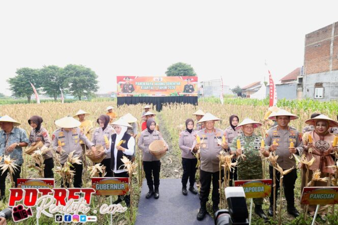 
 Jatim Sumbang 27,77% Luas Panen, Polda Jatim Kokohkan Peran dalam Ketahanan Pangan
