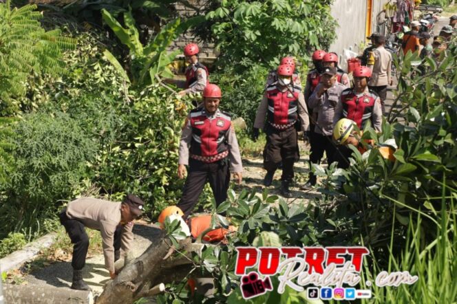 
 Puting Beliung Terjang Desa Tegalrejo, Polres Tuban–BPBD Bantu Evakuasi dan Pembersihan