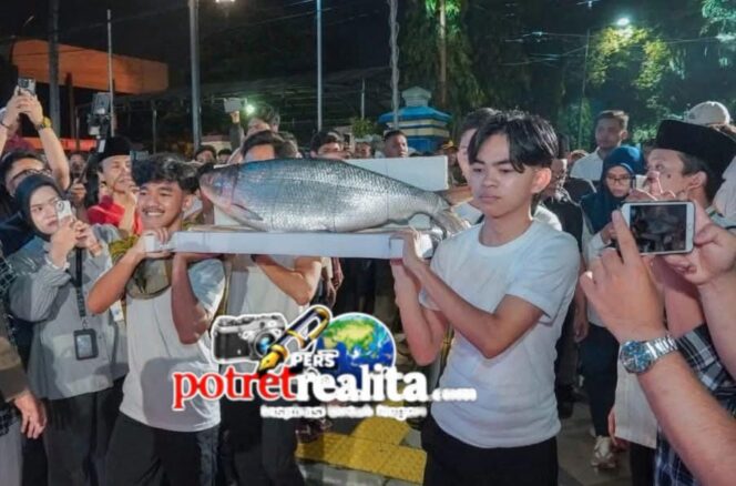 
 Kontes Bandeng Kawak 2026 Meriahkan Pasar Bandeng Gresik, Tradisi Warisan Budaya Takbenda Tetap Dilestarikan