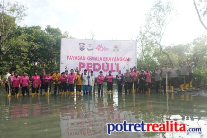 
 Sambut HUT ke-46, Bhayangkari Tanjung Perak Hijaukan Pesisir Kalianak dengan Ratusan Mangrove