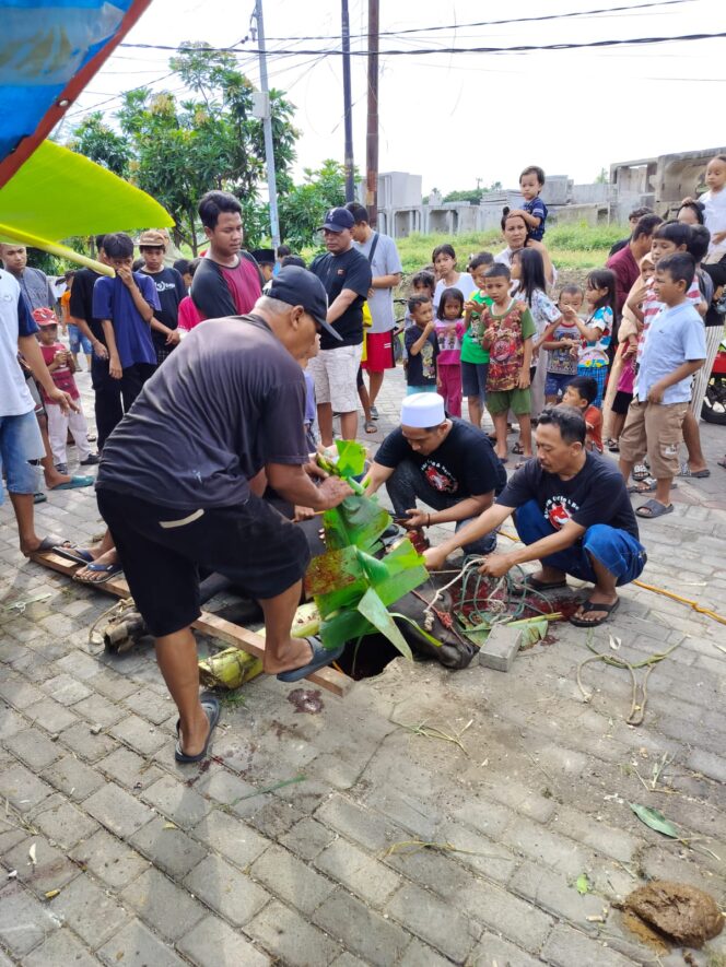 
 Semangat Berbagi Idul Adha 1447 H, Masjid Al Atinah Surabaya Sembelih 2 Sapi dan 2 Kambing