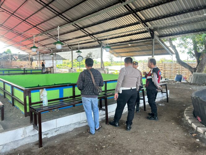 
 Sudah Ditertibkan, Tapi Mana Pelakunya? Dugaan Sabung Ayam di Kalipecabean Sisakan Tanda Tanya