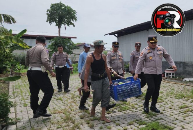 
 Polres Pelabuhan Tanjung Perak Panen Raya Terong Tumpang Sari Dukung Swasembada Pangan