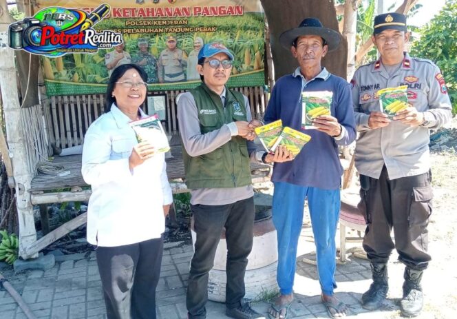 
 Polri Kawal Ketahanan Pangan, Petani Tambak Wedi Terima Bantuan Bibit Jagung Hibrida