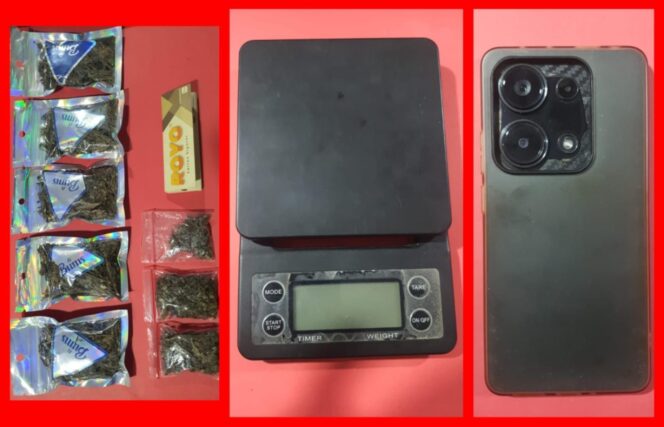 
 Transaksi Ganja via Instagram, Pemuda 23 Tahun Diamankan Polisi di Surabaya