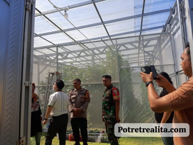 
 Lahan Pemkot Disulap Jadi Kebun Golden Melon, Polres Tanjung Perak Dorong Ketahanan Pangan