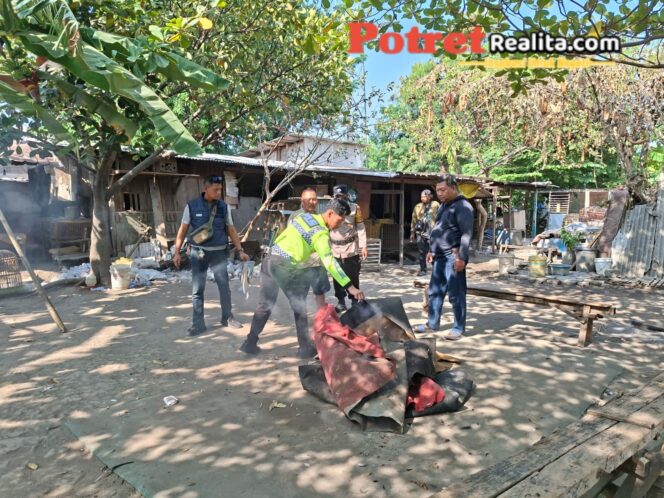 
 Viral Judi Sabung Ayam, Polsek Waru Gerebek dan Bongkar Arena di Bungurasih Utara